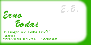 erno bodai business card